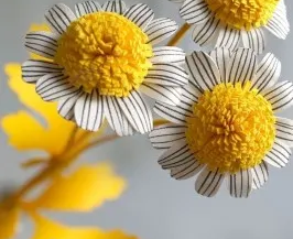 Флористика