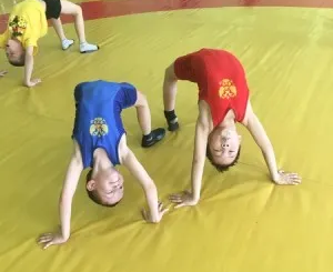 Cекция вольной борьбы