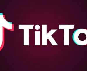 Виртуальный IT-лагерь