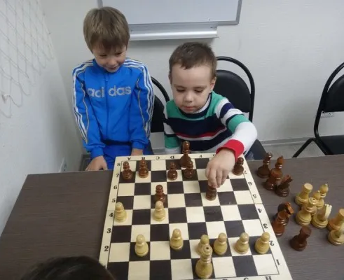 Шахматы