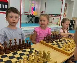 Шахматы