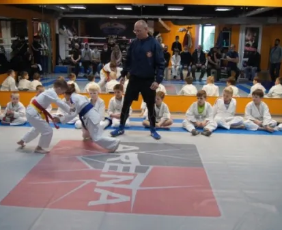 Рукопашный бой