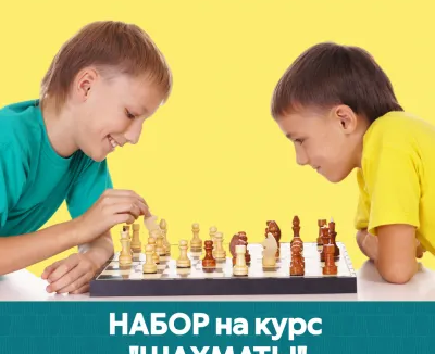 Шахматы