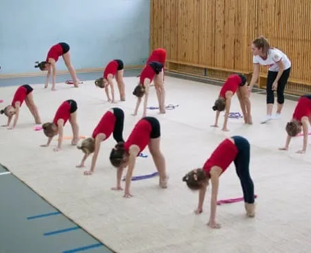 Художественная гимнастика