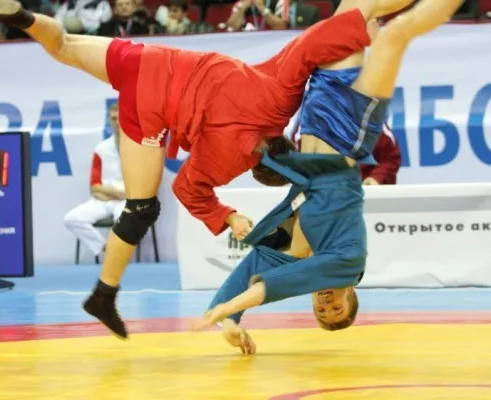 Спортивный клуб дзюдо и самбо Masters (в мкр. Крутые Ключи)