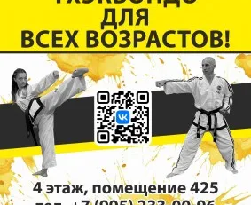 Тхэквондо МФТ