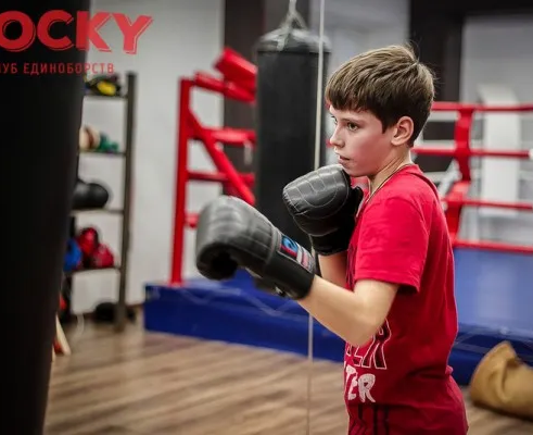 Бокс, панкратион, смешанные единоборства, тайский бокс