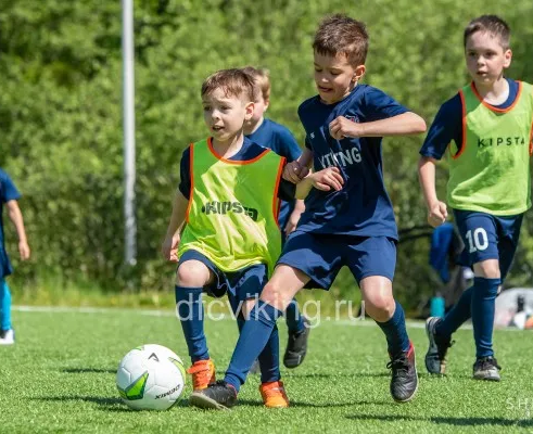 ДФК "Викинг" (Солнцево, Говорово)