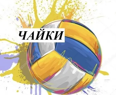 Детская волейбольная секция
