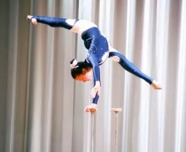 Эстрадно-цирковой коллектив «Гримихс»