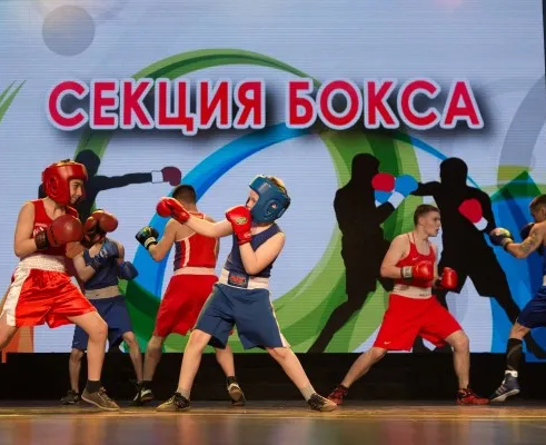 секция БОКСА