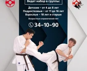 Киокушин карате