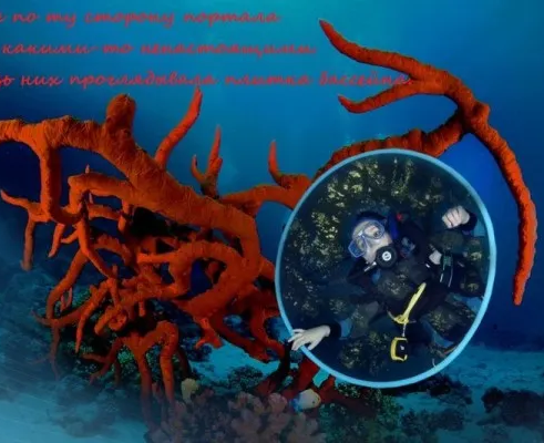 Детский дайвинг