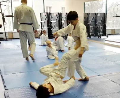 Джиу-джитсу