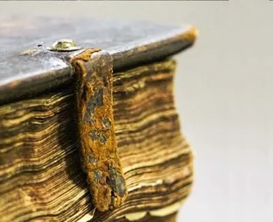 Эксклюзивные экскурсии по Омскому музею книги