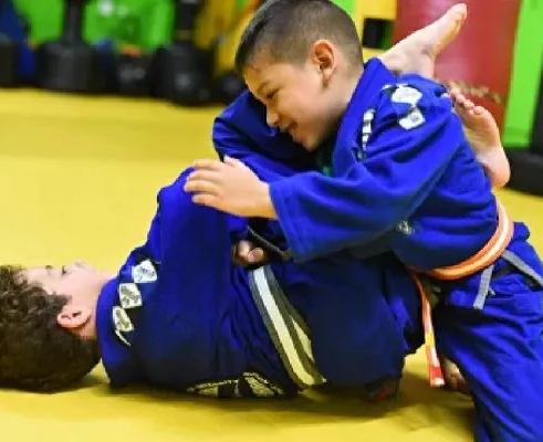 Бразильское джиу-джитсу