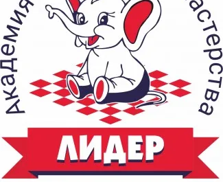 Шахматы