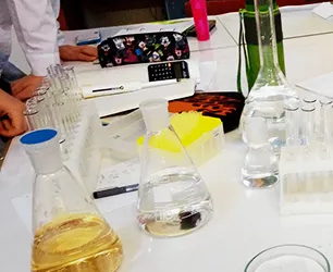 Летняя профориентационная школа