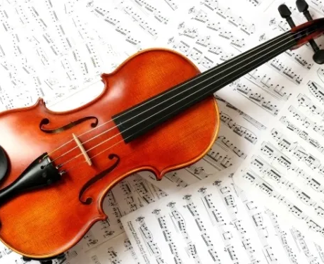 Программа «Скрипка»