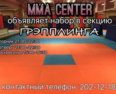 Грепплинг