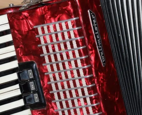 Баян (аккордеон) (на ул. Академика Лебедева)