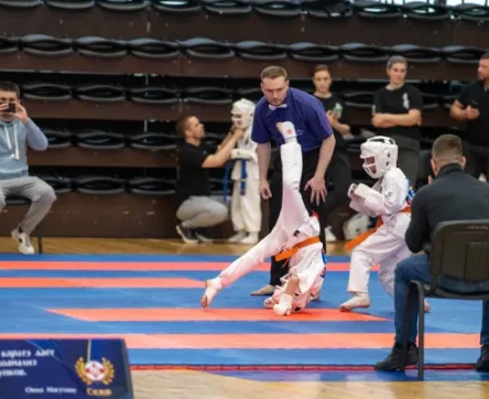 Каратэ Киокушинкай