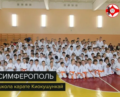Карате киокусинкай