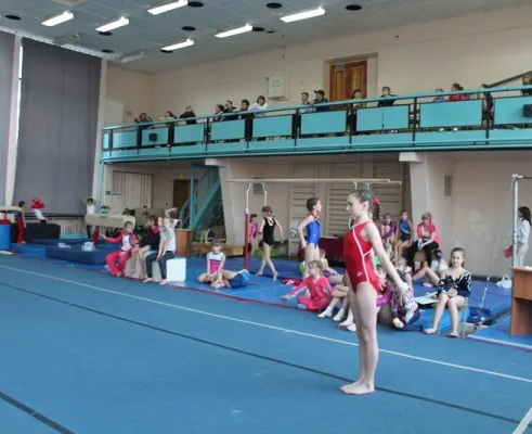 Спортивная гимнастика