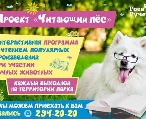 Интерактивная выездная программа «Читающий пёс»
