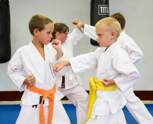 Московский клуба восточных единоборств VOL-1 DOJO