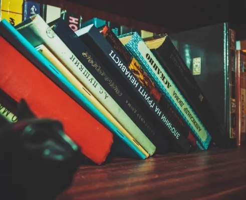 Я читаю. Я рисую (на ул. Шевченко)