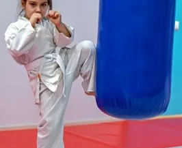 Карате-киокусинкай