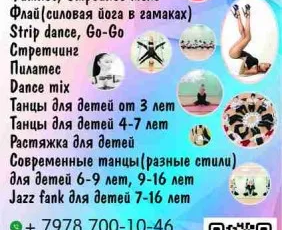 СФиТ Стрекоzzzа или Студия фитнеса и танца Стрекоза
