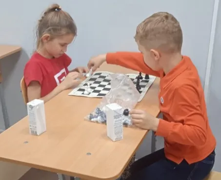 Шахматы