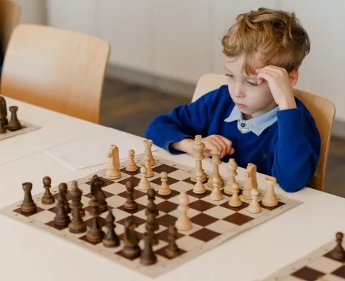 Школа-студия шахмат 12-й чемпионки мира « Александра»