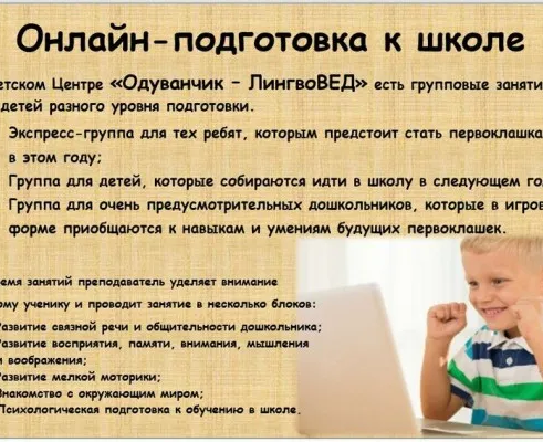 Онлайн-занятия по подготовке к школе и развивающие занятия
