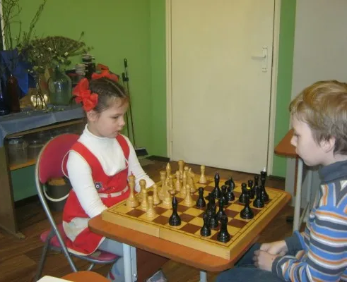 Шахматы