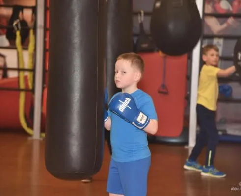 Силачи (бокс)