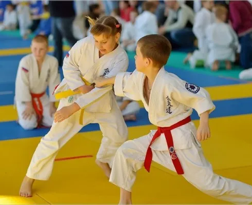 Томики Айкидо. Спортивная секция.