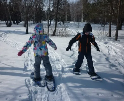 Школа юного путешественника