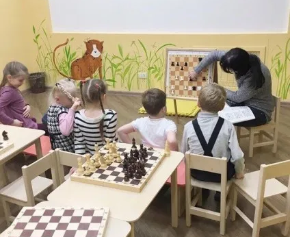 Шахматы