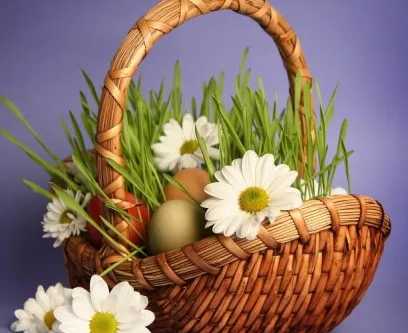 Флористическая мозаика