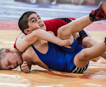 Вольная борьба