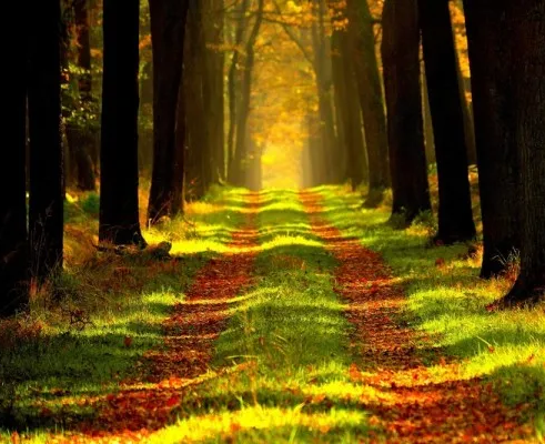 Живой музей «Экодом»