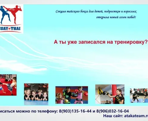 Спортивные занятия по тайскому боксу