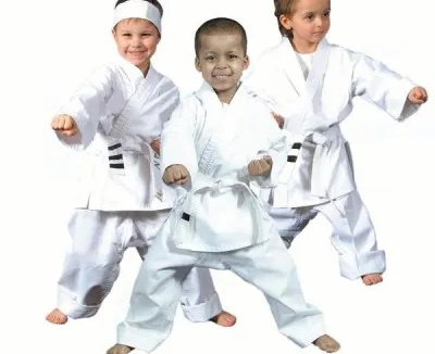 Классическое японское карате