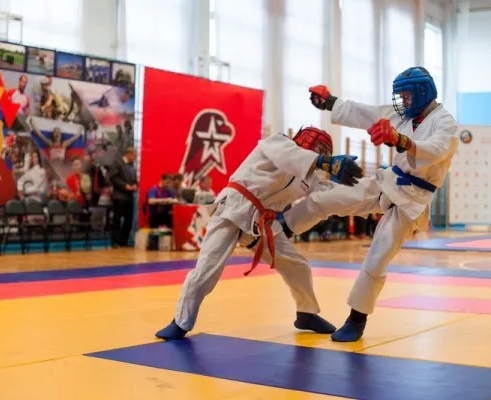 Боевое самбо