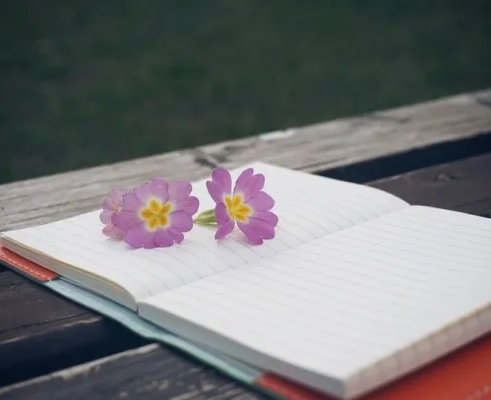 Рязанский край — музейный край!