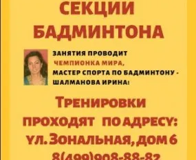 Бадминтон