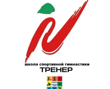 Спортивная гимнастика для мальчиков